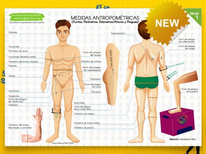 PÓSTER Medidas Antropométricas
